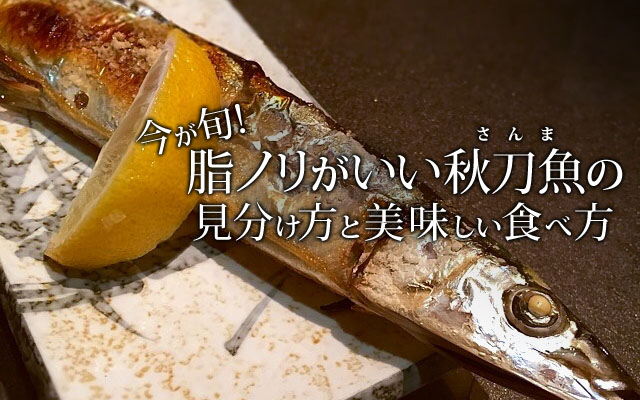 今が旬！脂ノリがいい秋刀魚（さんま）の見分け方と美味しい食べ方