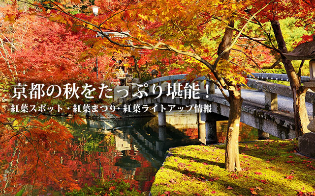 京都の秋をたっぷり堪能！〜紅葉スポット・紅葉まつり・紅葉ライトアップ情報〜